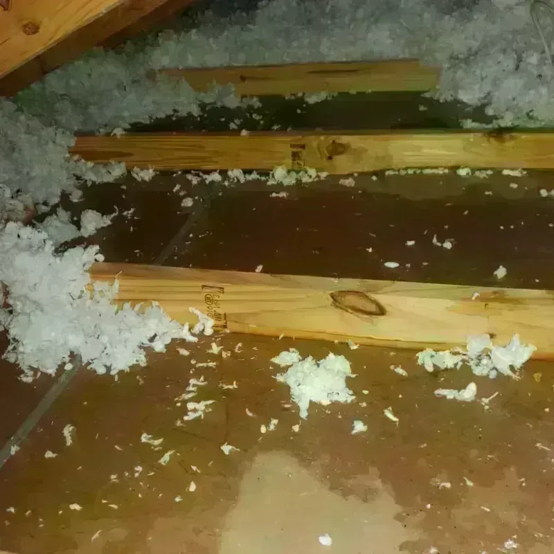 Attic Water Damage in Wills Point, TX