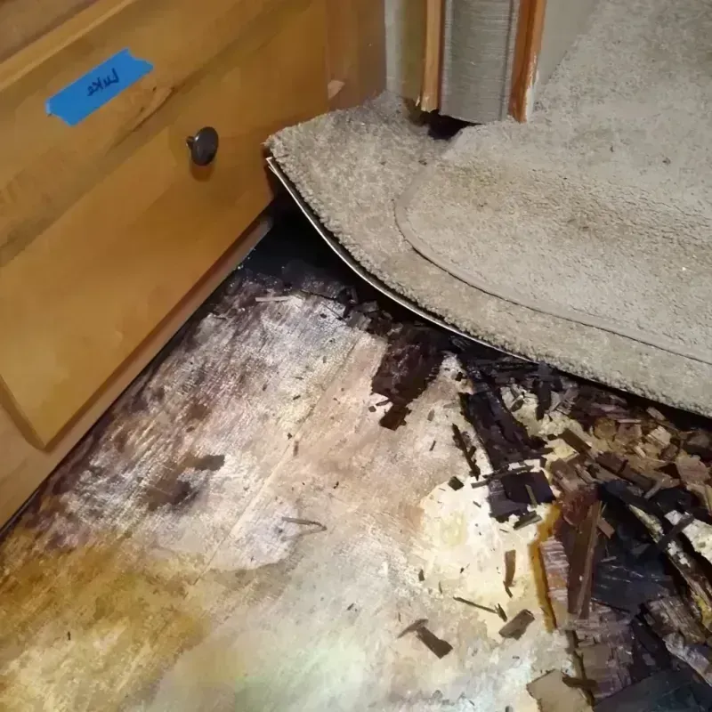 Wood Floor Water Damage in Wills Point, TX